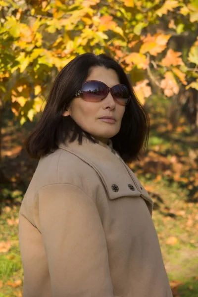 Vacker kvinna är nära en Björk, hösten tid. — Stockfoto