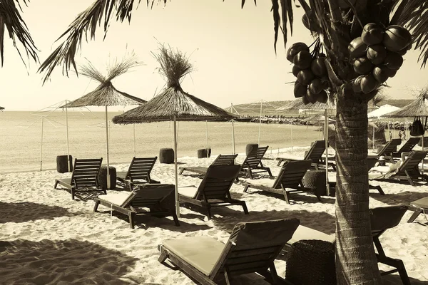 Sun loungers on the beach — Stock Photo, Image