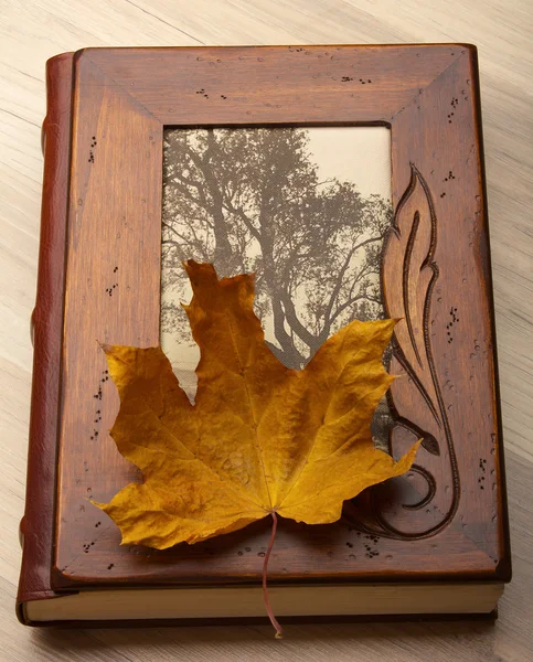 Close up of an album and Autumn leaves. — Stock Photo, Image
