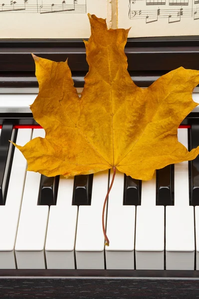 Herbstblatt auf dem Klavier. — Stockfoto