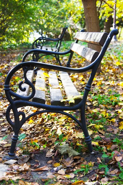 Bänke im Herbstpark — Stockfoto