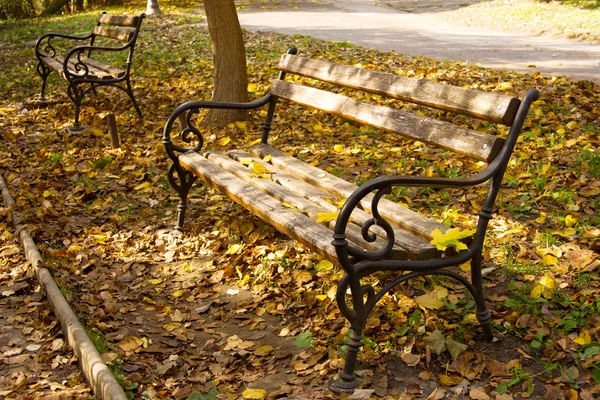 Bench az őszi parkban — Stock Fotó