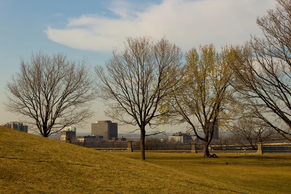 City park — Stock Photo, Image