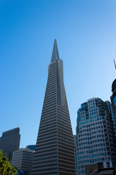 Transamerica Pirâmide sobre um céu azul - copyspace — Fotografia de Stock