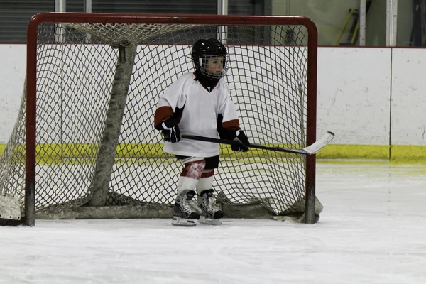 Niño jugando hockey sobre hielo —  Fotos de Stock