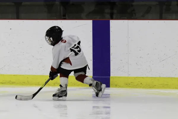 Niño jugando hockey sobre hielo —  Fotos de Stock