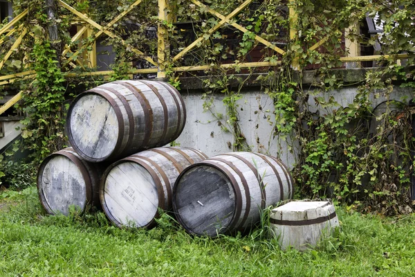 Старые бочки с пивом — стоковое фото