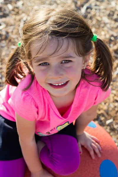 Милая маленькая девочка с косичками — стоковое фото