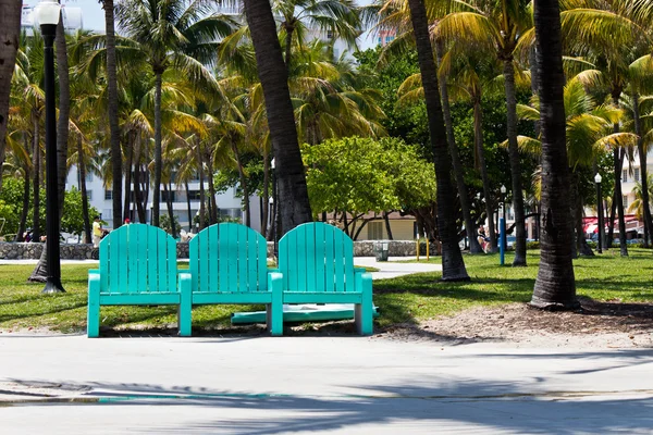 Parkbänk bland palmerna i miami, florida — Stockfoto