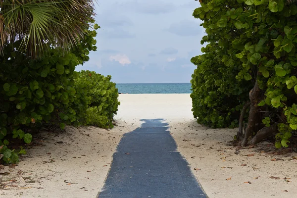 Caminho que conduz à praia — Fotografia de Stock
