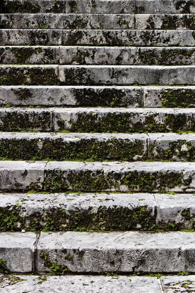 Old stairs covered in moss — Stock Photo, Image