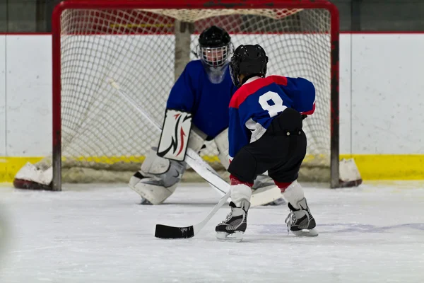 Jonge ijshockeyspeler bereidt om te schieten op net Rechtenvrije Stockfoto's