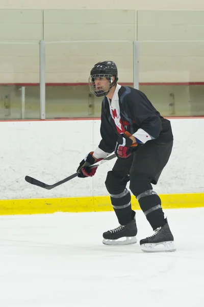 Ice hockey player during a game — Stock Photo, Image