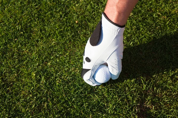 Golfer zetten de bal op een tee — Stockfoto