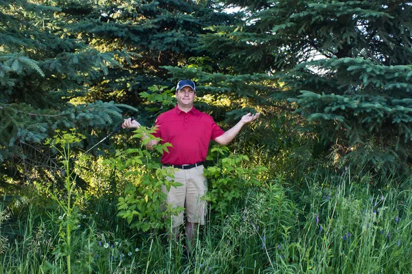 Golfozó elvesztette a golf labdát az erdőben Stock Kép