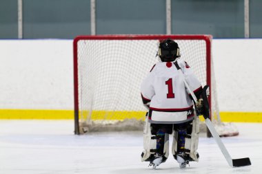 net paten hokeyi kaleci