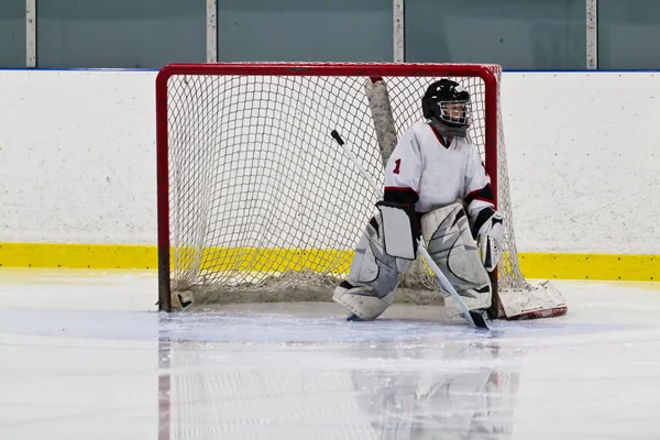 Giovane portiere di hockey che gioca in rete — Foto Stock