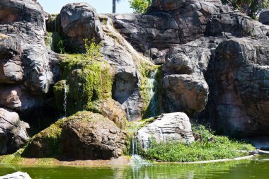 bir şelale ile kayalık sahil