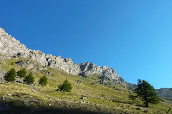 Valle alpino en las primeras horas de la mañana — Foto de Stock