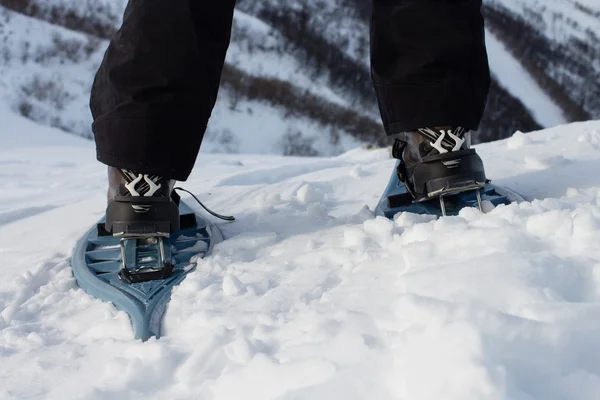 Schneeschuhe — Stockfoto