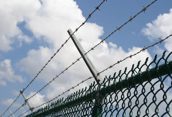 Barbed wire — Stock Photo, Image