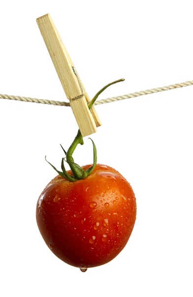 Tomaten — Stockfoto