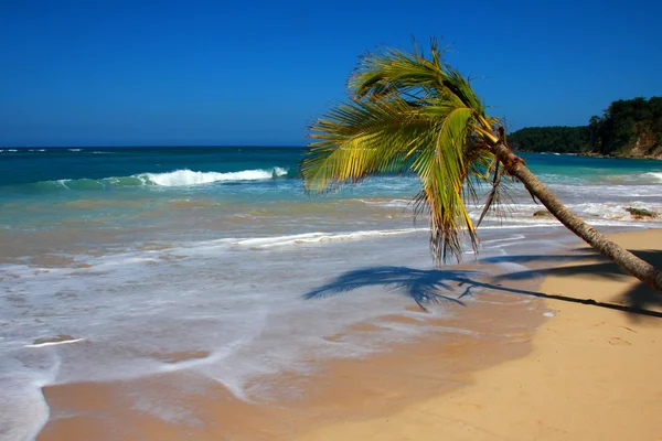 Playa La Presiosa — Foto de Stock