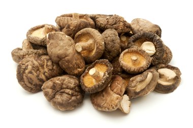 Shiitake