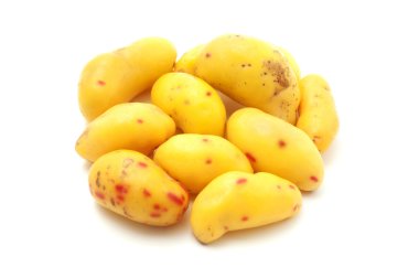 Ulluco