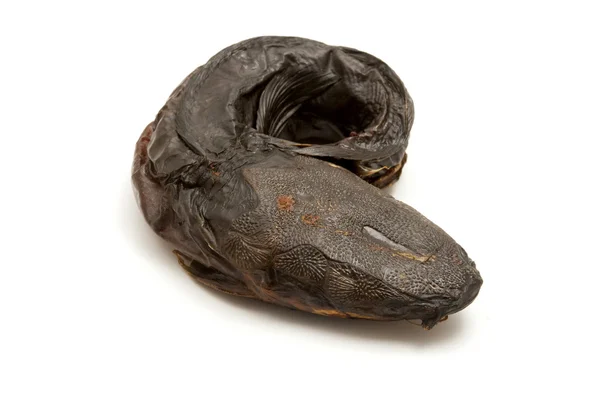Smoked dried catfish — Stock Photo, Image