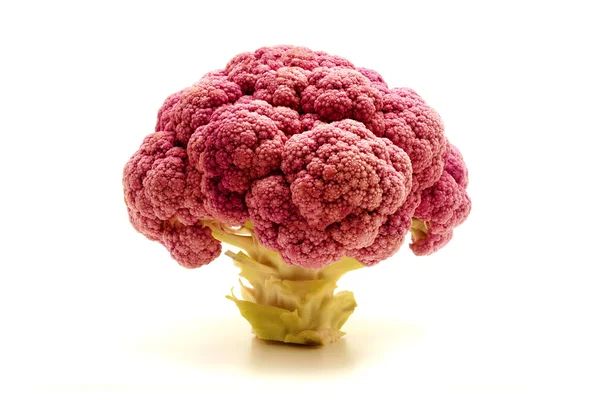 Sicilian Purple Broccoli — Stock Photo, Image