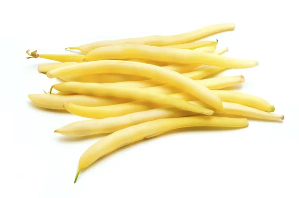 balmumu fasulye