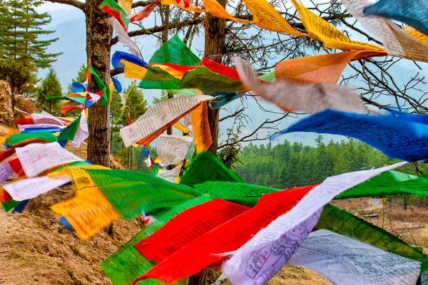 ブータン パロ県デチェンプー ラカン付近の旗 — ストック写真
