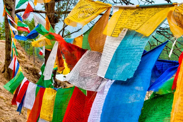ブータン パロ県デチェンプー ラカン付近の旗 — ストック写真