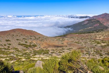 Teide Dağı Ulusal Parkı, Tenerife, Kanarya Adası, İspanya