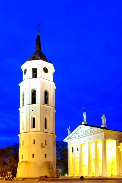 Cathedral Basilica Stanislaus Ladislaus Vilnius Lithuania — Stock Photo, Image