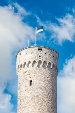 Pikk Hermann (Uzun Hermann) Estonya 'nın Tallinn şehrinde bulunan Toompea Kalesi' nin bir kulesidir.