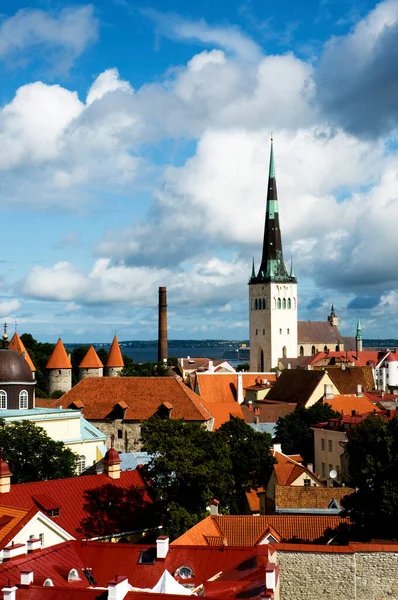 Вид Церковь Святого Петра Окружающие Веревки Таллинн Эстония — стоковое фото