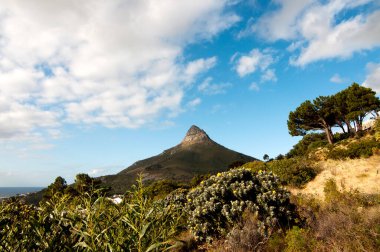 Lion 's Head Dağı, Cape Town, Güney Afrika