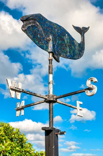 Whale Shaped Weather Vane Hermanus South Africa — Stock Photo, Image