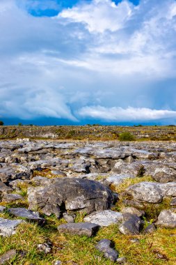 Burren 'in karst tepeleri, County Clare, İrlanda