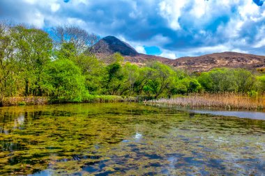 Connemara milli park, galway county, İrlanda