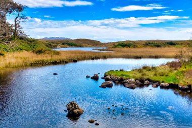 Ardagh, Ballinaboy, County Galway, İrlanda yakınlarındaki R341 yolunda küçük bir göl.
