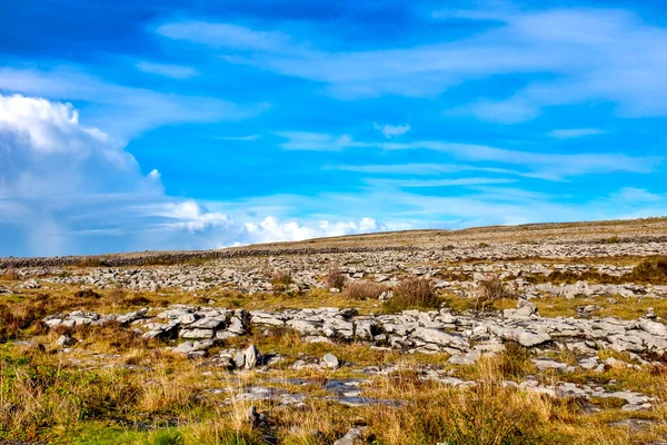 Burren 'in karst tepeleri, County Clare, İrlanda