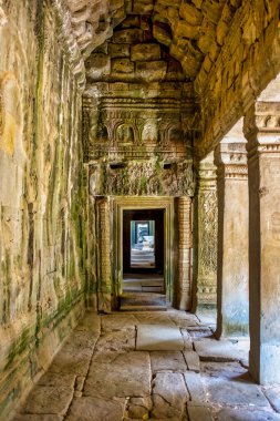 Ta Prohm Tapınağı, Siem Reap, Kamboçya