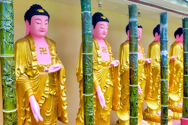Boeddha Quebec Penang Maleisië — Stockfoto