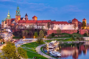 Dalga Kalesi, Krakow, Polonya