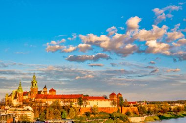 Dalga Kalesi, Krakow, Polonya