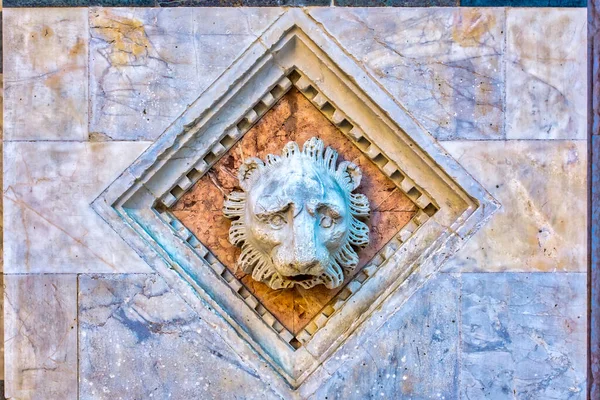 Detail Lion Head Exterior Siena Cathedral Siena Italy — Fotografia de Stock