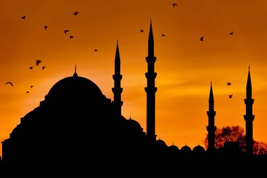 Silhouette of the Suleymaniye Mosque at sunset in Fatih, Istanbul, Turkey